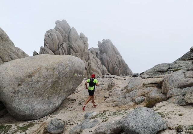 Training Load | Metabolic Efficiency™ Training Load | Metabolic Efficiency™