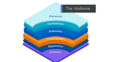 MultiOMICm Age Algorithm