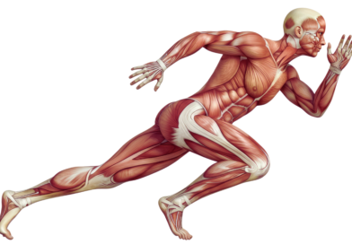 Epigenetics | Kinesiology