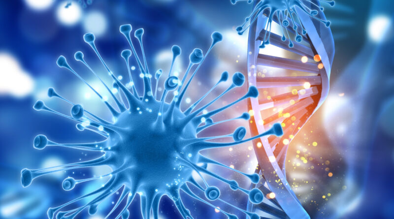 Epigenetic Aging | Immune System